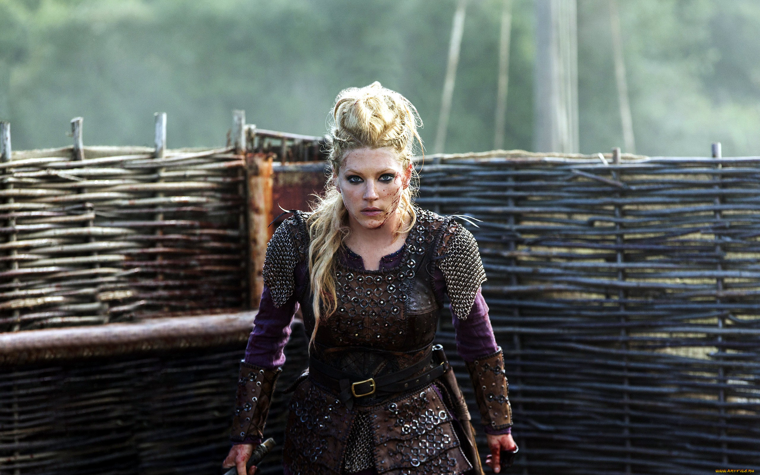  , vikings , 2013,  , lagertha, lothbrok, katheryn, winnick